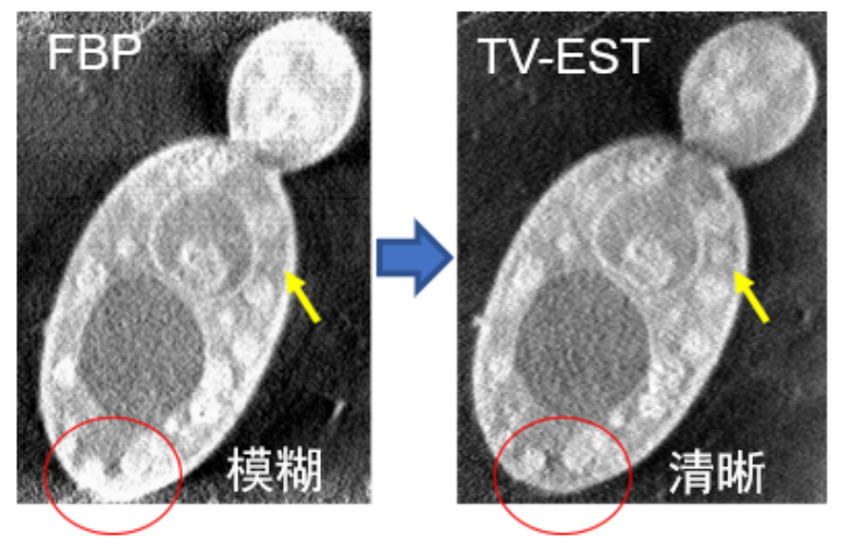 微信图片_20210909171824.png