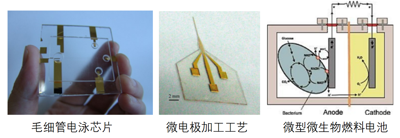 微信图片_20210909173835.png
